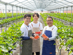 いちご・マンゴー農場 はるちかファーム(株式会社近鉄百貨店)-top