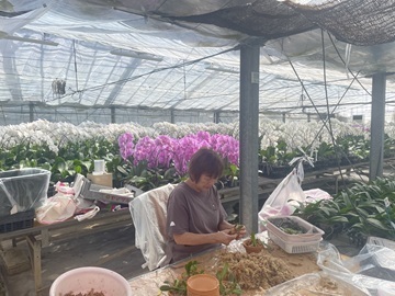 有限会社スマイルオーキッド-3