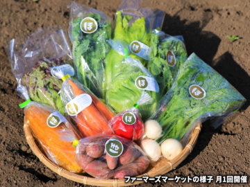大分県臼杵市 地域おこし協力隊募集-2