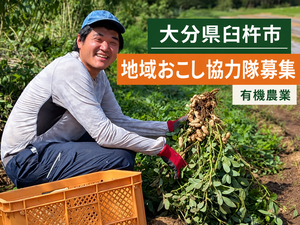 大分県臼杵市 地域おこし協力隊募集-top