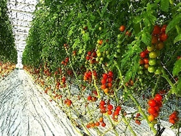 アグリ技研株式会社-1