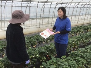 アグリ技研株式会社-top