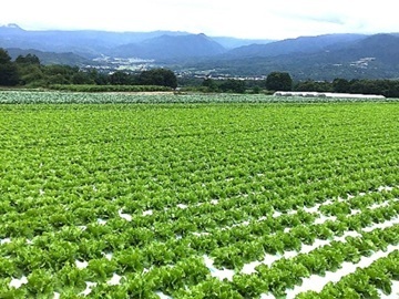 アグリ技研株式会社-3