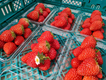 株式会社アドインテ(京都)-1