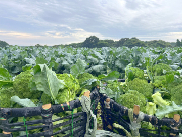 株式会社andAgri-5