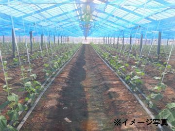 大正農園-1