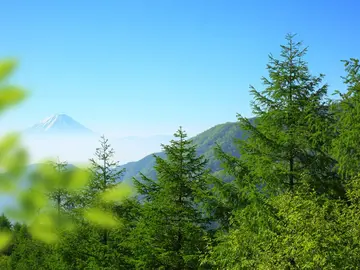 グリーンクロスファーム株式会社-6
