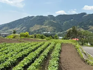 グリーンクロスファーム株式会社-2