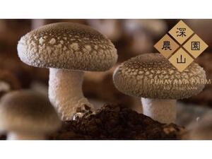 深山農園 株式会社(パッキング・加工)-top