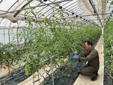 株式会社近藤菜園(新潟市)-top