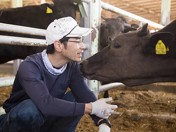 兵庫県神戸市×肉牛(肥育)/法人【6540】-top