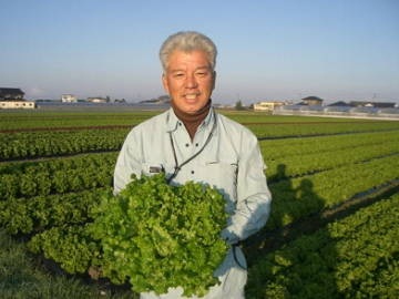 熊本県八代市×野菜/法人【0728】-top