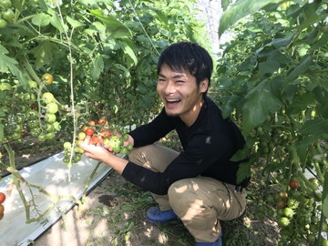 柴田農園-top