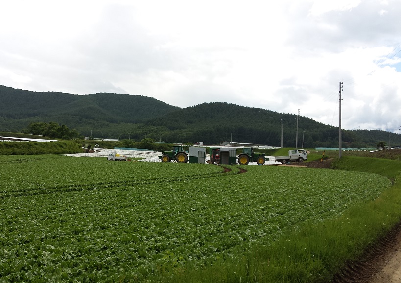 ★あぐりナビ農業求人～信州清水農場～長野県★