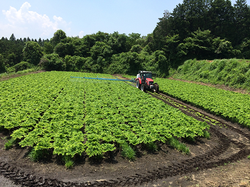 ★あぐりナビ農業求人～有限会社 生農ファーム～群馬県★