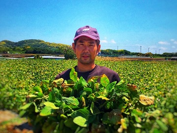 有限会社岩崎ファーム-top