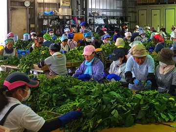 有限会社岩崎ファーム-1