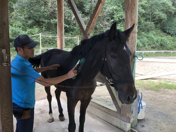 にんにんホーススクール-1