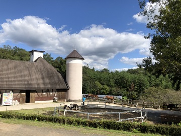 にんにんホーススクール-2