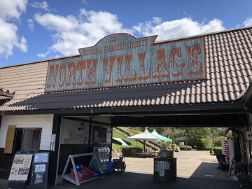 にんにんホーススクール-7