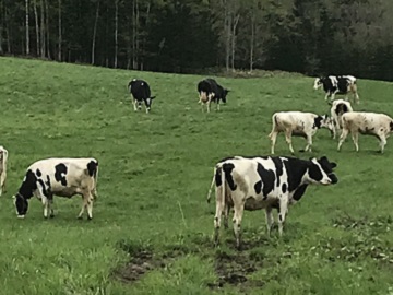 北海道枝幸町×酪農/法人【0623】-2