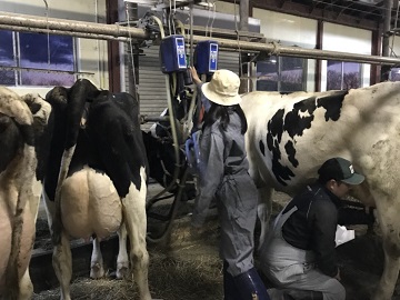 北海道枝幸町×酪農/法人【0623】-3