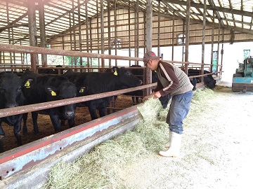 有限会社ウエストヒルズファーム-4