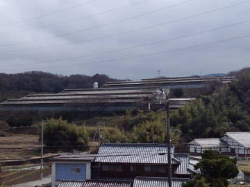 JA全農兵庫/神戸ファーム-2