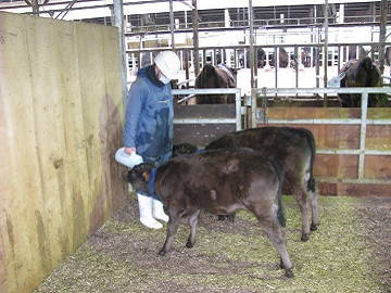 JA全農兵庫/神戸ファーム-3