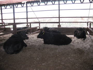 JA全農兵庫/神戸ファーム-5