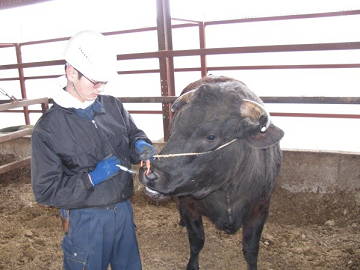 JA全農兵庫/神戸ファーム-8