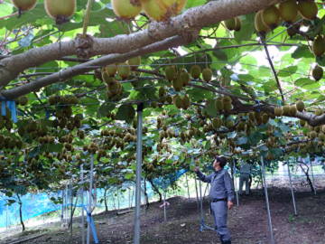 株式会社K'z Agri company-2