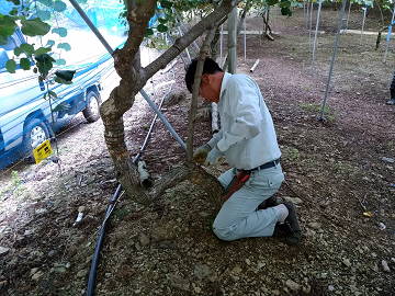 株式会社K'z Agri company-3