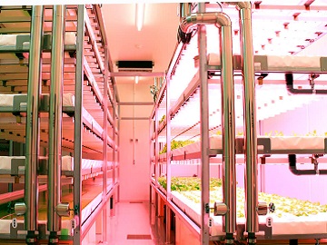 名張市×植物工場/法人【0483】-2