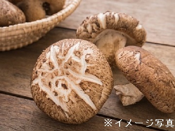 高岡市×野菜/法人【0473】-1