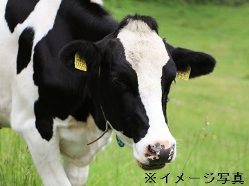栃木県那須塩原市×酪農/個人【0427】-1