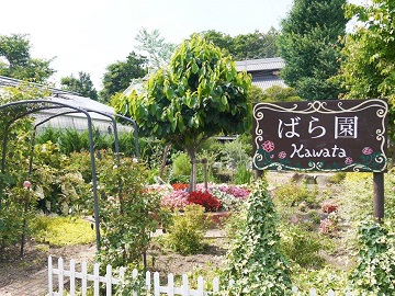 河田ばら園-2