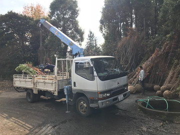 有限会社フクダイ種苗園