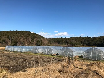 株式会社石﨑畜産ティーアイファーム-1