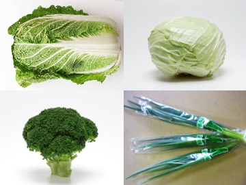 兵庫県南あわじ市×露地野菜/法人【2520】-2