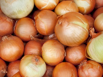 兵庫県南あわじ市×露地野菜/法人【2520】-1