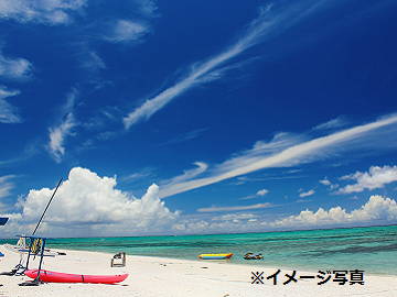 照屋(てるや)農園-2