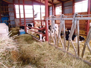 牧野牧場-1