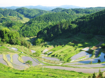 ★あぐりナビ農業求人~パソナ岡山 ~岡山県★