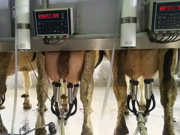 佐藤牧場　佐藤悠-3