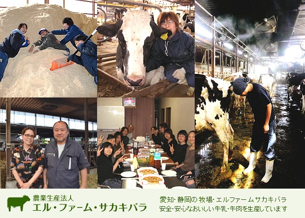 ★あぐりナビ農業求人~(有)エル・ファーム・サカキバラ ~静岡県・愛知県★