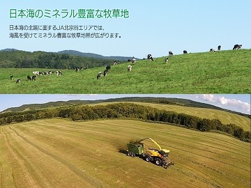 豊富町酪農ヘルパー利用組合-top