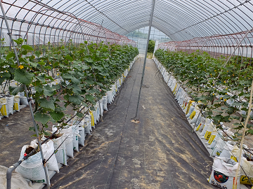 農業法人 信州むらやま農場-5