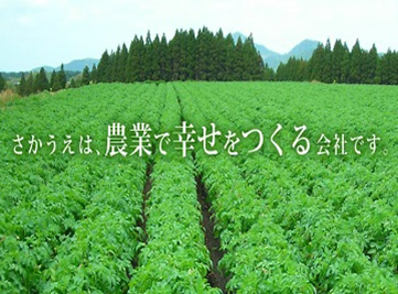 ★あぐりナビ農業求人～株式会社さかうえ ～鹿児島県★