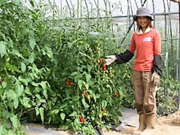 ★あぐりナビ農業求人～飛騨七兵衛農園 ～岐阜県★